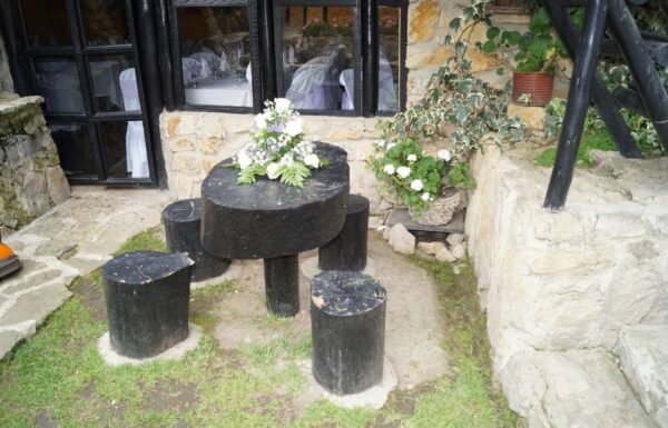 Categoría Galería clasificados Eventoco