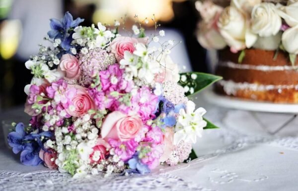 Categoría Galería clasificados Eventoco