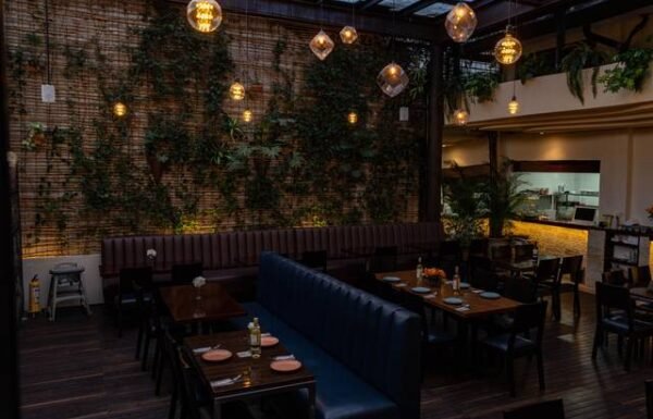 Categoría Galería clasificados Eventoco