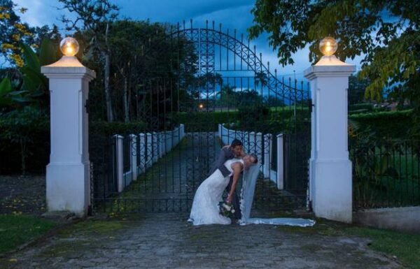 Category Vendor Gallery anuncios3