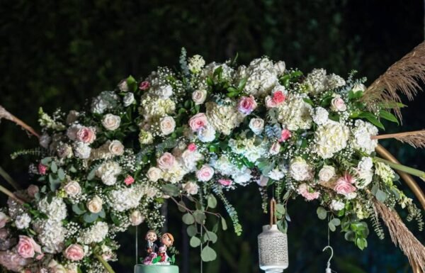 Malavasi Photography