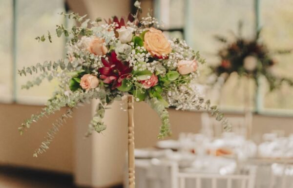 Categoría Galería clasificados Eventoco