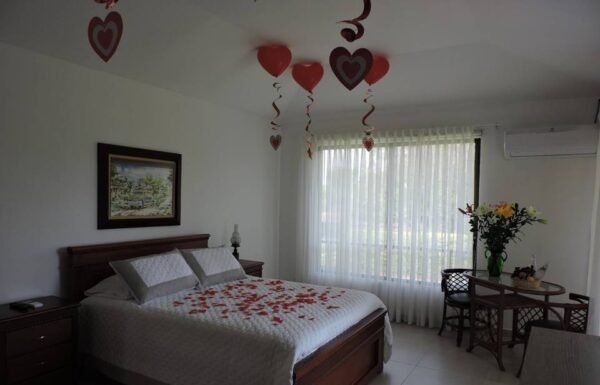 Categoría Galería clasificados anuncios