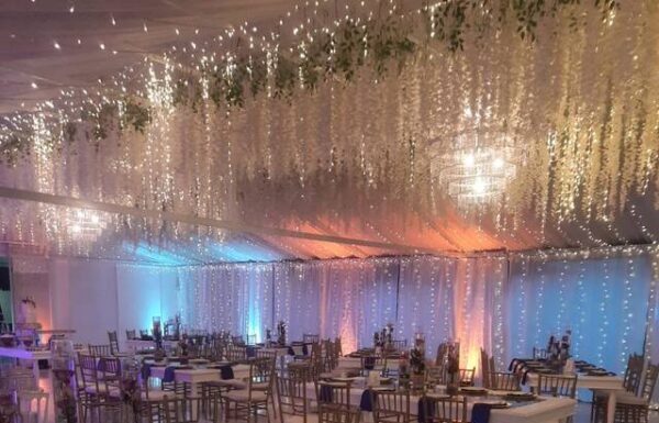 Categoría Galería clasificados Eventoco