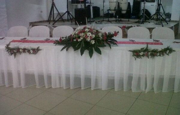 Category Vendor Gallery anuncios3