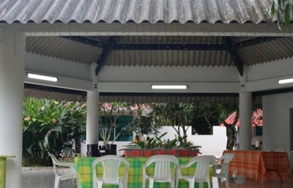 Category Vendor Gallery anuncios