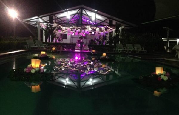 Category Vendor Gallery anuncios