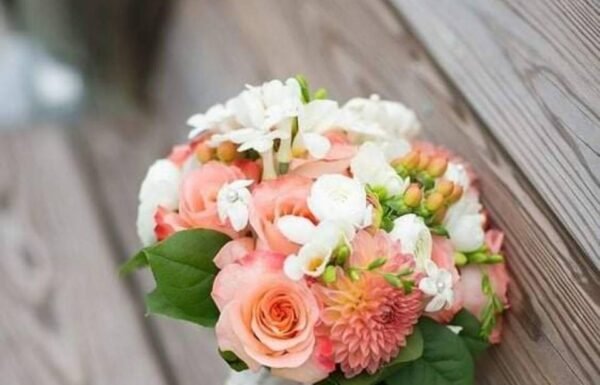 Categoría Galería clasificados Eventoco