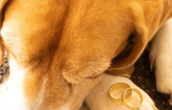 Momentos Soñados Fotografía