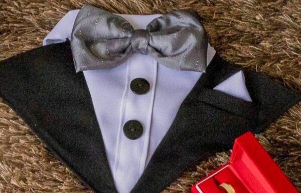 Categoría Galería clasificados anuncios3