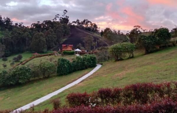 Categoría Galería clasificados Eventoco