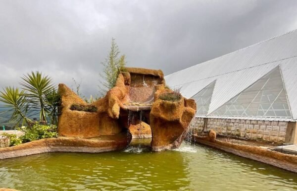 Categoría Galería clasificados Eventoco