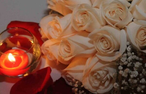 Categoría Galería clasificados anuncios3