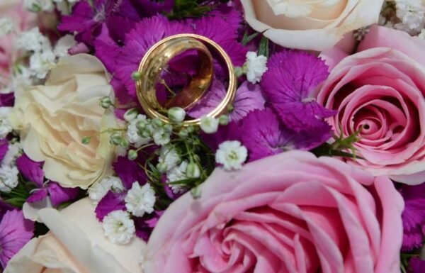 Categoría Galería clasificados anuncios3