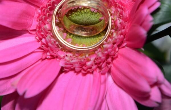 Categoría Galería clasificados anuncios3