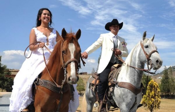 Categoría Galería clasificados anuncios3