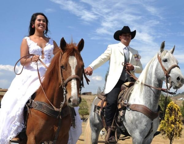 Fotografía y Video Categoria anuncio Focus Toloza Company