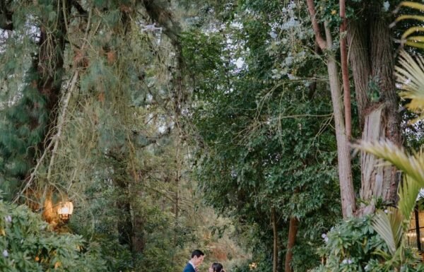 Categoría Galería clasificados Eventoco