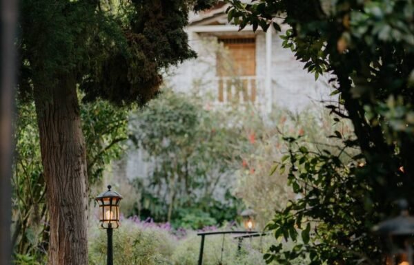 Categoría Galería clasificados Eventoco