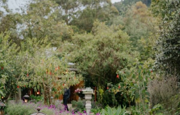 Hacienda Arkadia By Alex Rodriguez