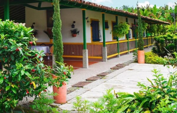 Categoría Galería clasificados anuncios