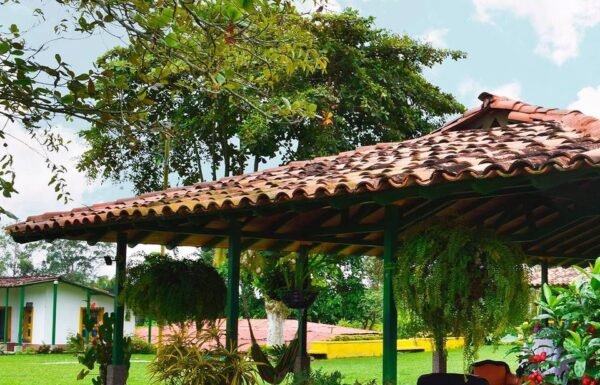 Categoría Galería clasificados anuncios