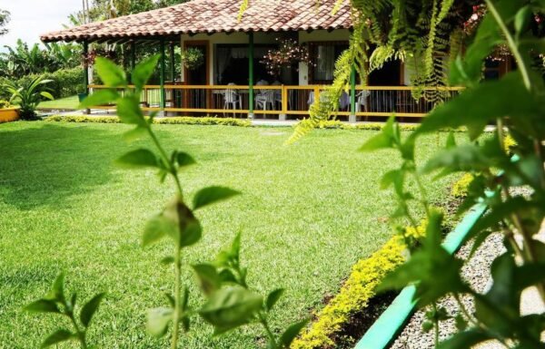 Categoría Galería clasificados anuncios