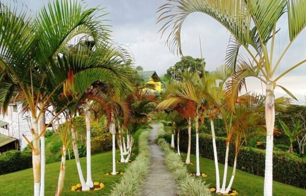 Categoría Galería clasificados anuncios