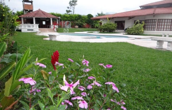 Categoría Galería clasificados anuncios