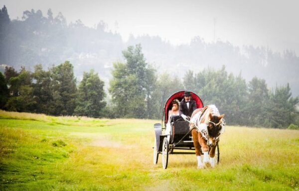 Infinity Photo Wedding