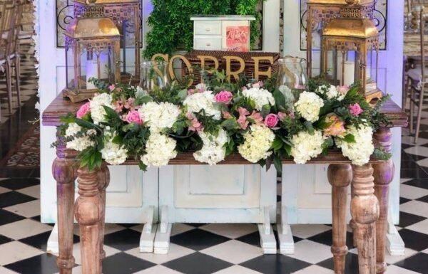 Categoría Galería clasificados anuncios