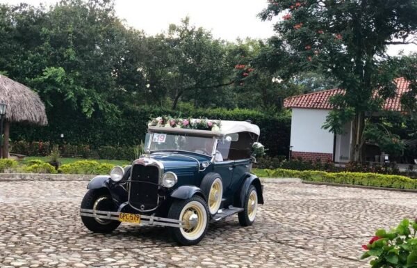 Categoría Galería clasificados anuncios