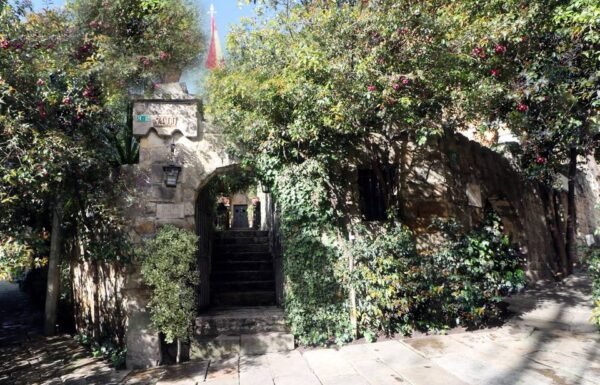 Categoría Galería clasificados Eventoco