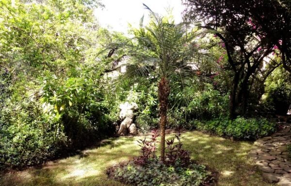 Castillo del Mono Osorio