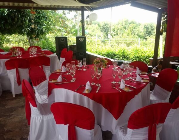 Organizadores de Eventos Categoria anuncio Gourmet Catering