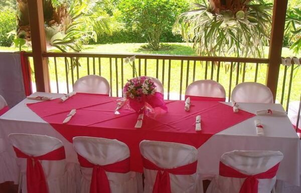 Category Vendor Gallery anuncios3