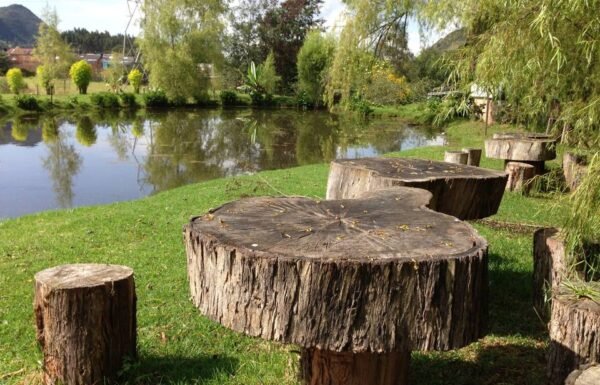 Categoría Galería clasificados Eventoco