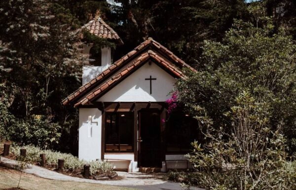 Categoría Galería clasificados Eventoco