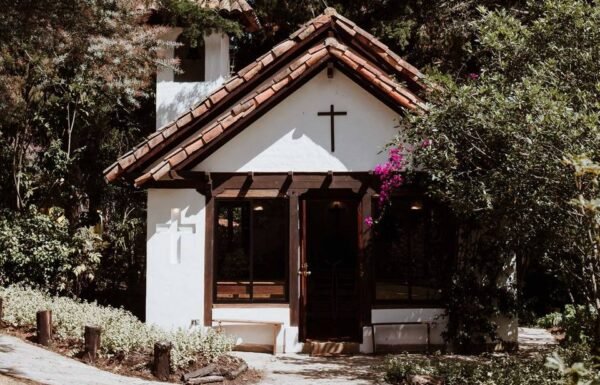 Categoría Galería clasificados Eventoco