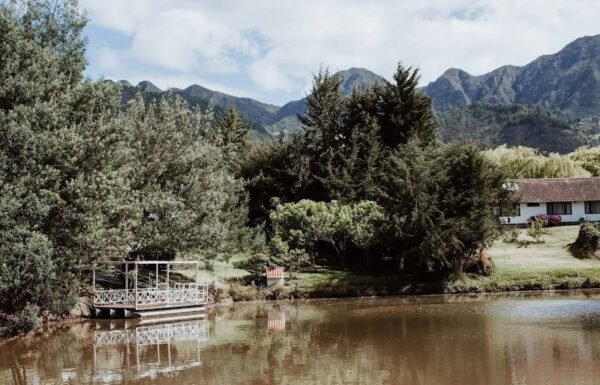 Categoría Galería clasificados Eventoco