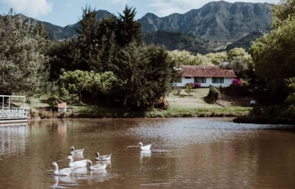 Categoría Galería clasificados Eventoco