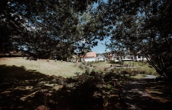 Categoría Galería clasificados Eventoco