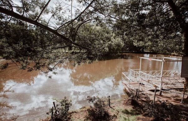 Categoría Galería clasificados Eventoco