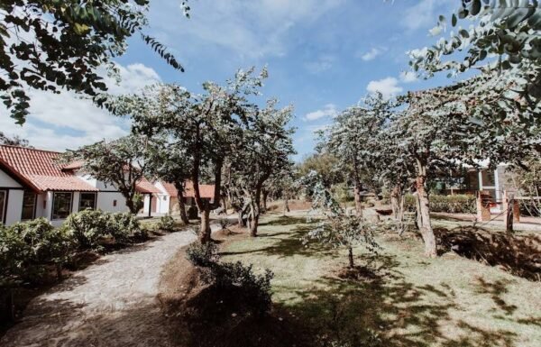 Categoría Galería clasificados Eventoco