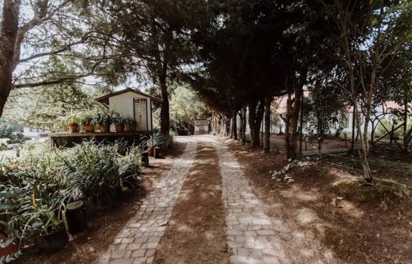 Categoría Galería clasificados Eventoco