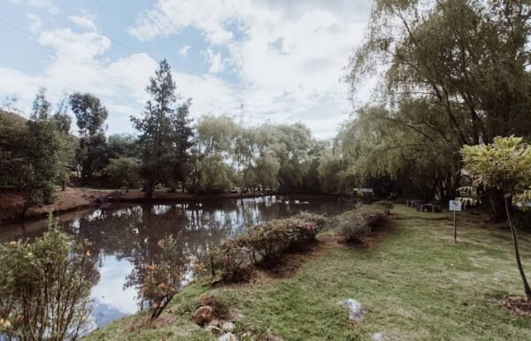 Categoría Galería clasificados Eventoco