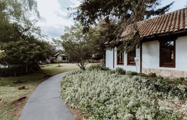 Categoría Galería clasificados Eventoco