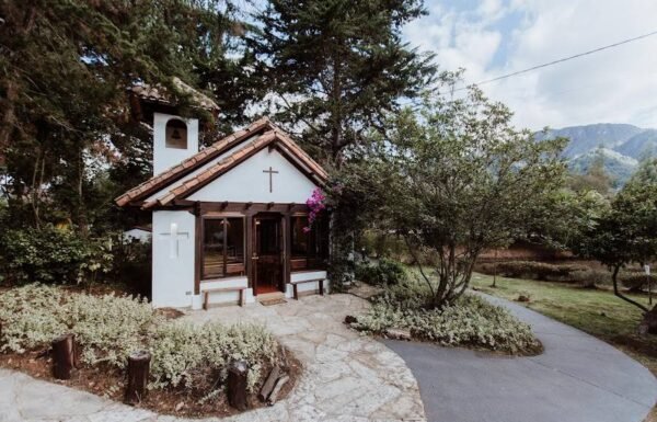 Categoría Galería clasificados Eventoco