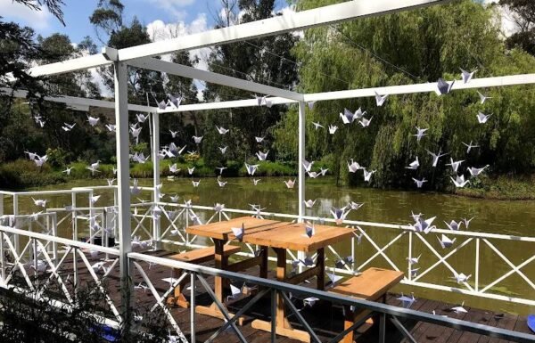 Categoría Galería clasificados Eventoco