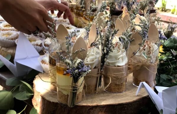 Categoría Galería clasificados Eventoco